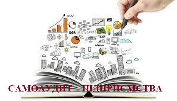 САМОАУДИТ ПІДПРИЄМСТВА 1